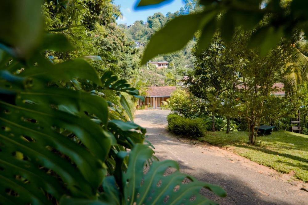 Clove Garden Kandy Ngoại thất bức ảnh